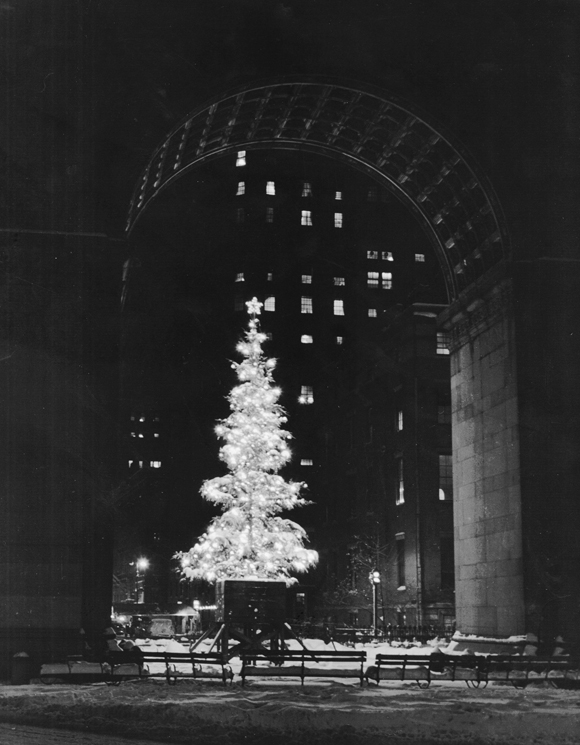 Washington Square arch with tree, Nat Kaufman Collection, c. 1950, Greenwich Village Society for Historic Preservation Archive.