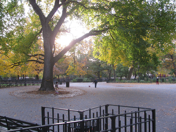 The Hare Krishna Tree in Tompkins Square Park. Image via edenpictures on Flickr.