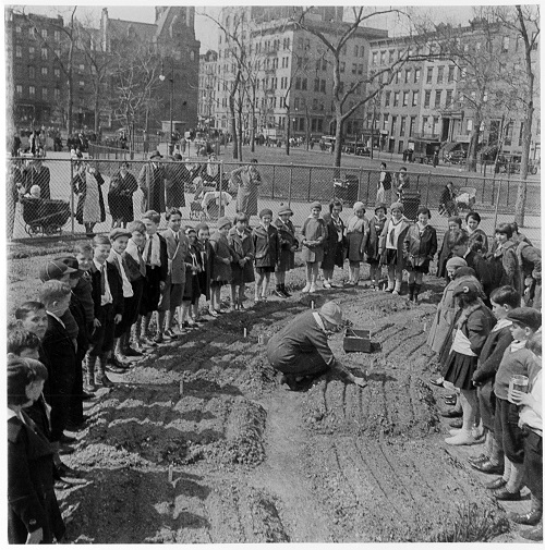 A children's garden opened in Tompkins Square Park in 1934. Photo courtesy of the New York City Parks Photo Archive. 