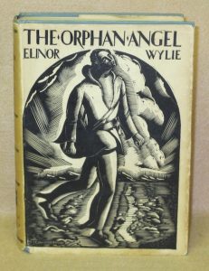 The Orphan Angel book cover. Image courtesy of bookedupac.com.