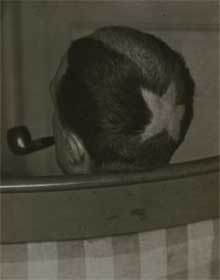 Duchamp photographed by Man Ray