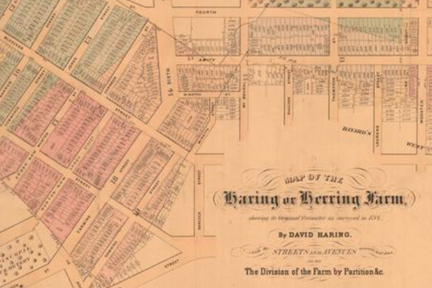 Screenshot: Map of Haring or Herring Farm, Surveyed 1784