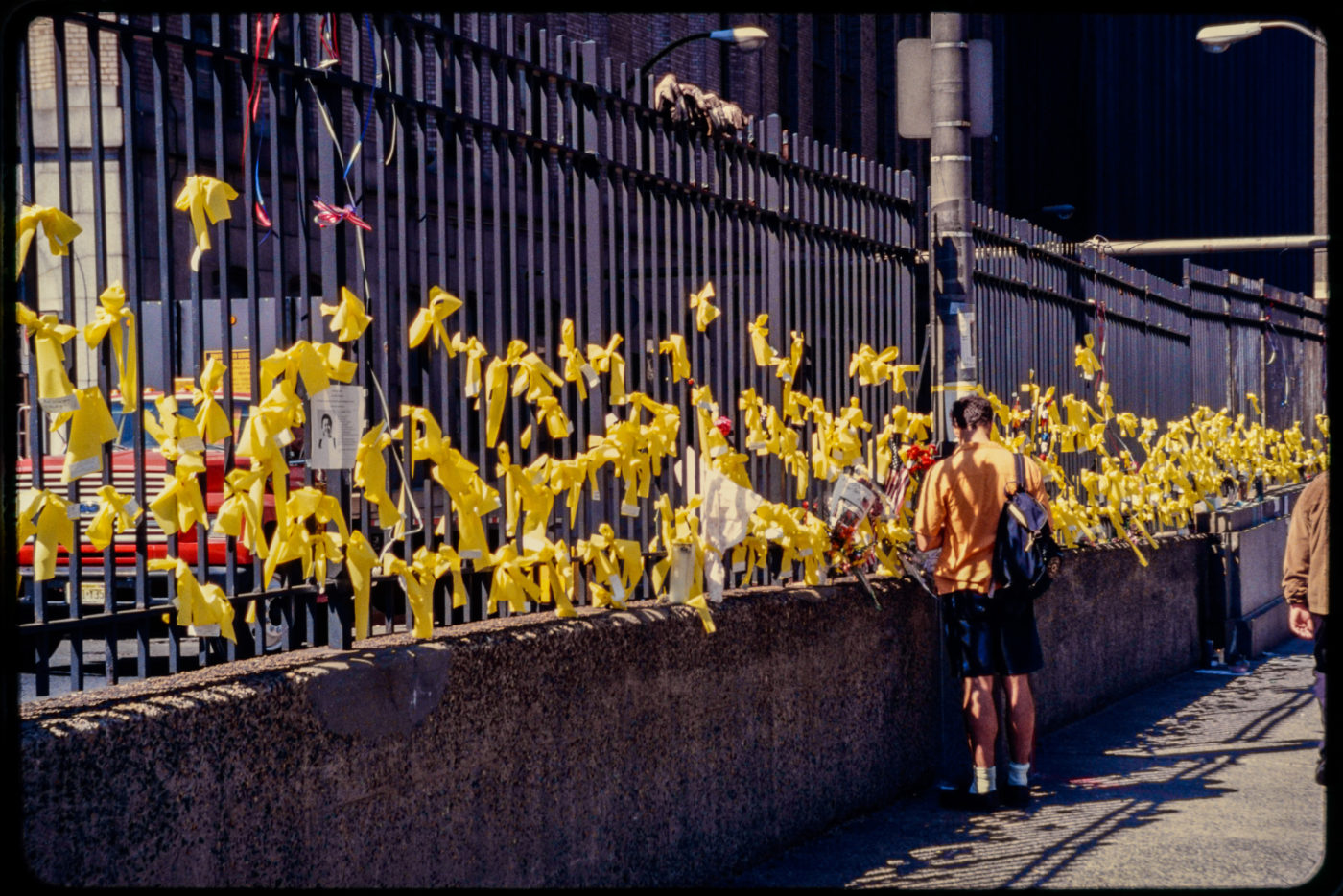 Unknown Individual Stands Near a Fence of Yellow Ribbons, a Symbol of National Support, After Attacks.jpg