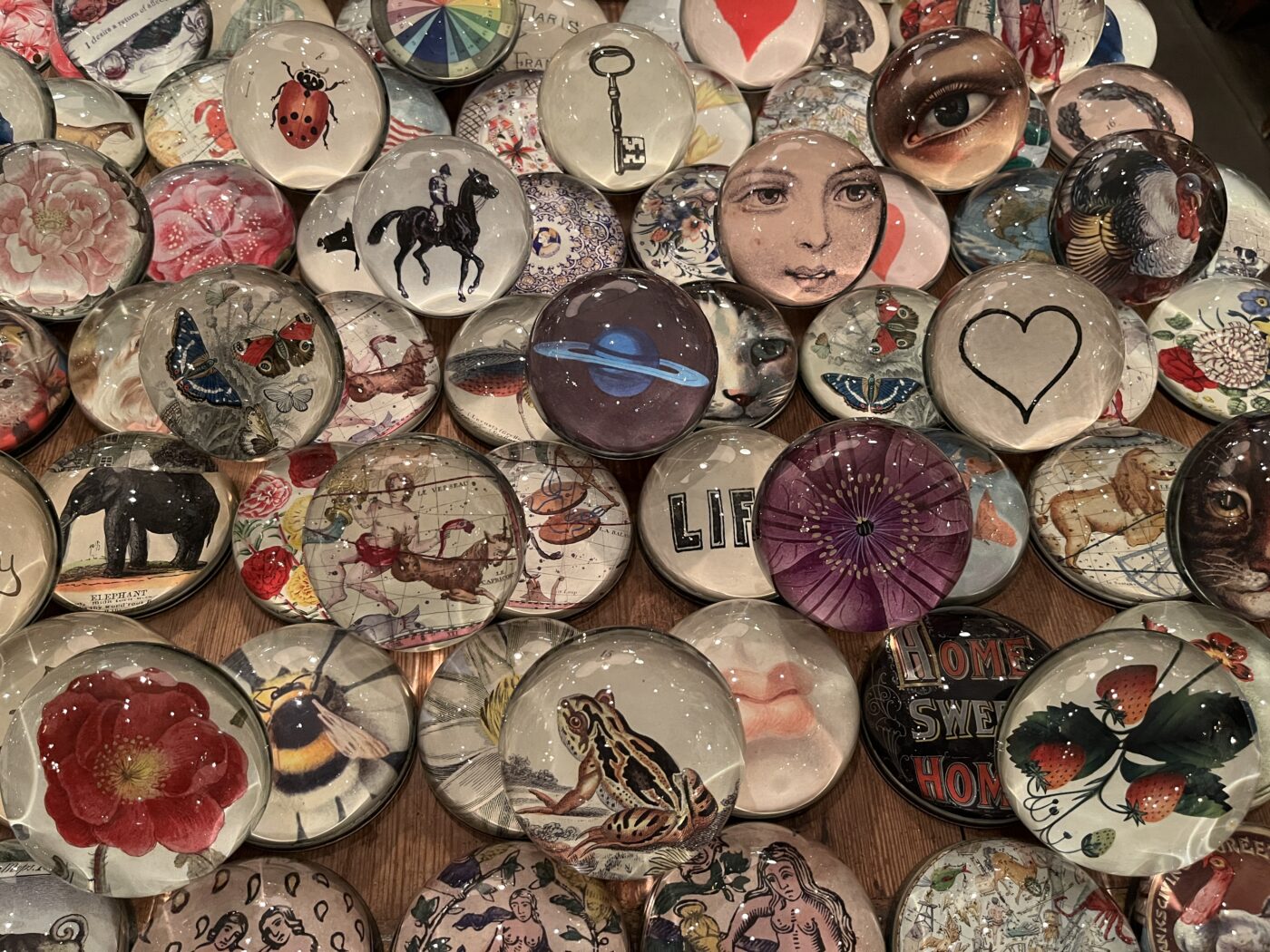 JOHN DERIAN COMPANY 顔デザイン プレート Business of the Month: John Derian Company, 6, 8, and 10 East 2nd